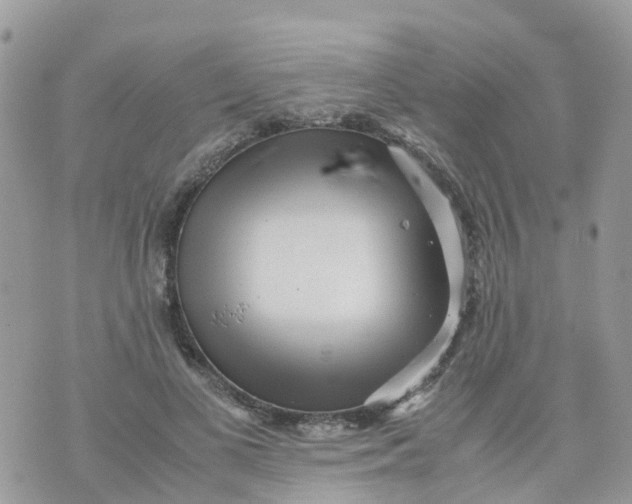 X0000070390693200606301947