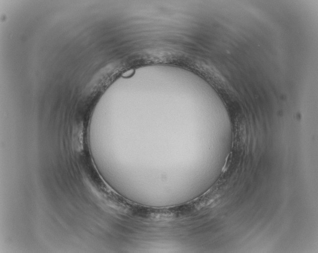 X0000070390694200606301947