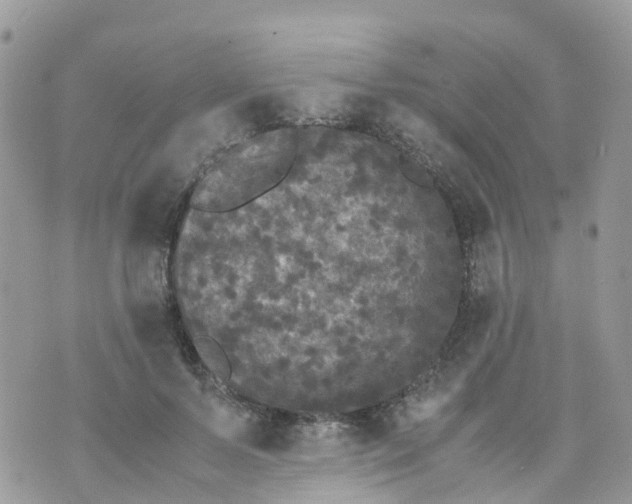 X0000070390695200606301946