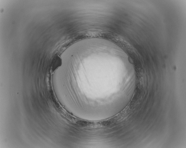 X0000070390696200606301946