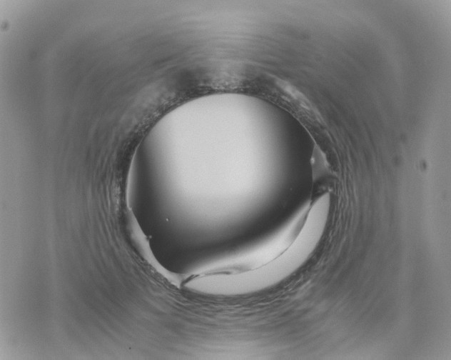 X0000070390697200606301946