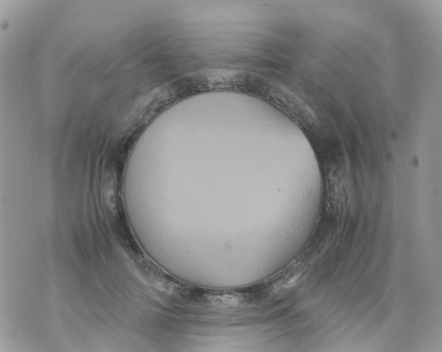 X0000070390698200606301946