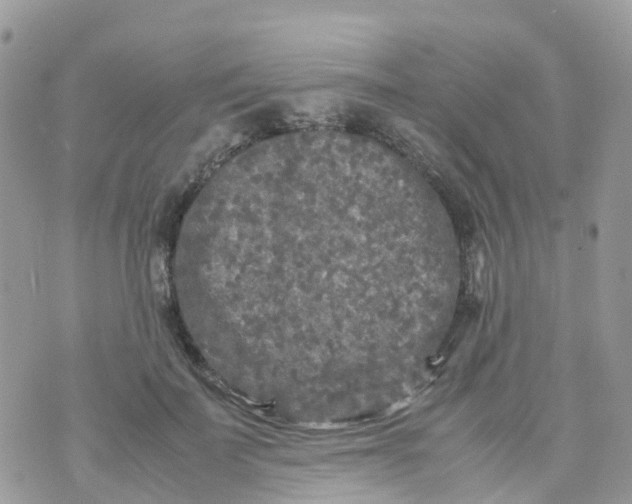 X0000070390699200606301946