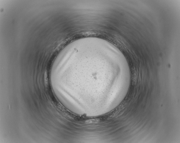 X0000070390700200606301946