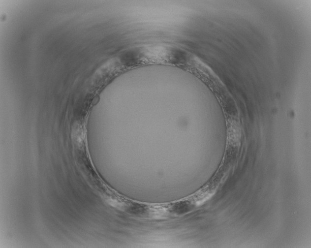 X0000070390701200606301946