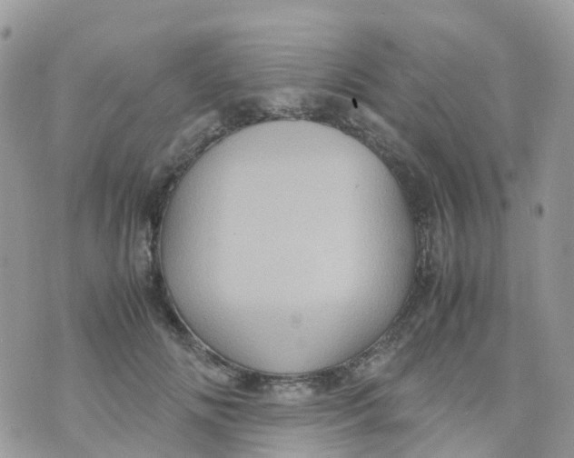 X0000070390702200606301946