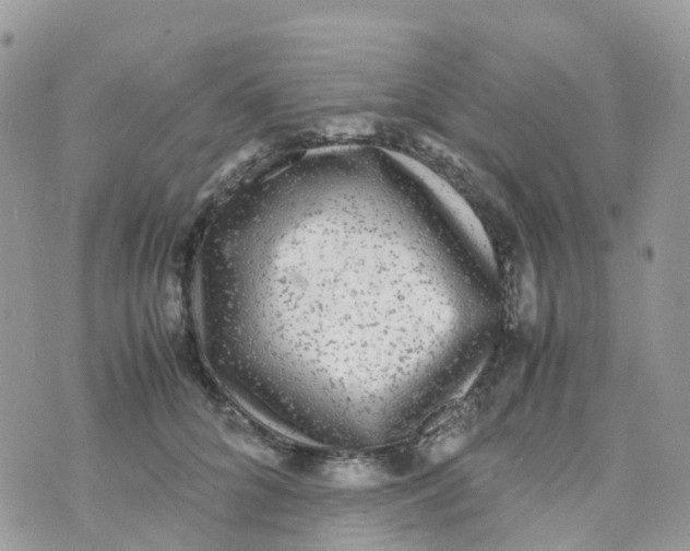 X0000070390704200606301946