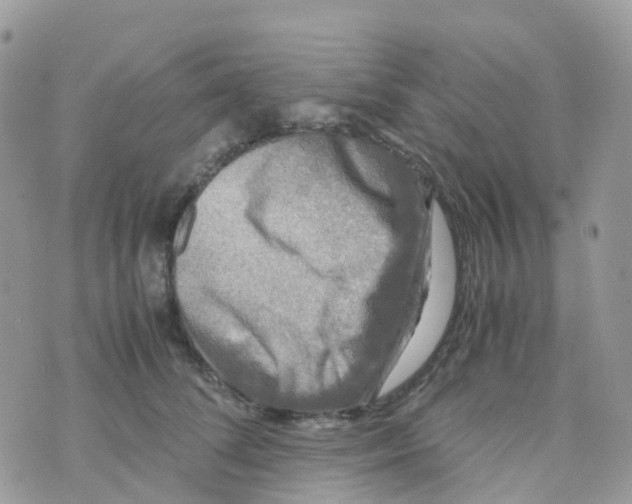 X0000070390708200606301946