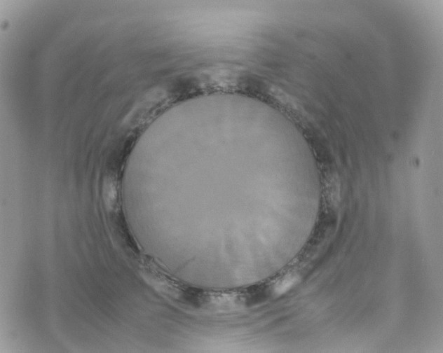 X0000070390709200606301946