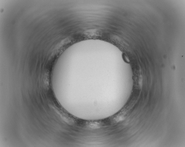 X0000070390710200606301946