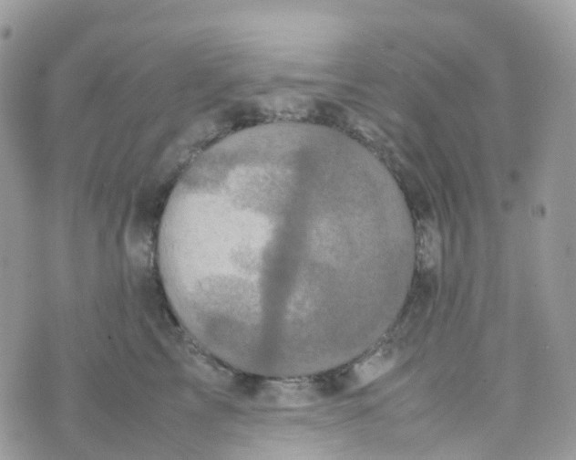 X0000070390713200606301946