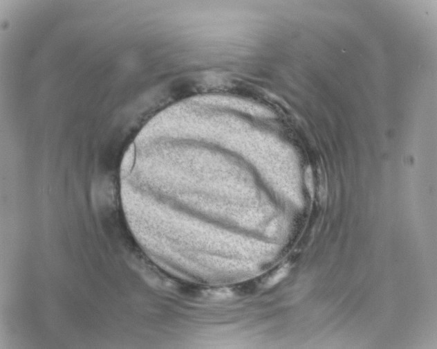 X0000070390715200606301946