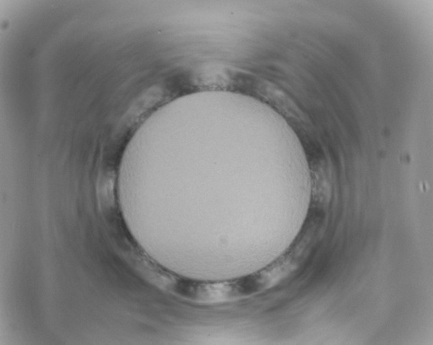 X0000070390717200606301946