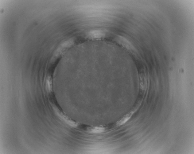 X0000070390718200606301946