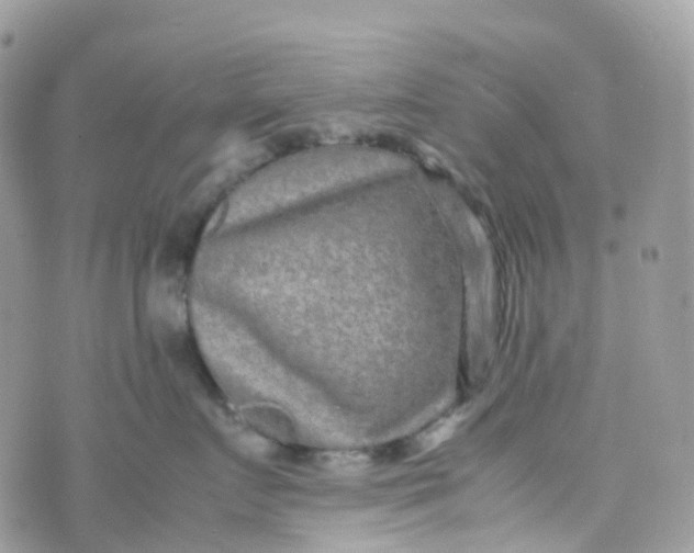 X0000070390719200606301946