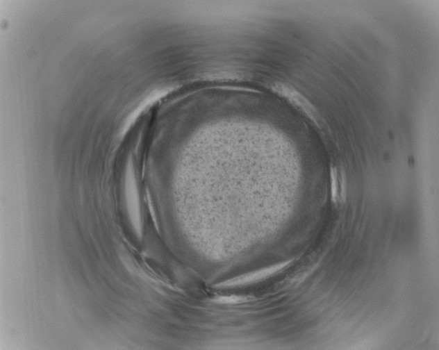 X0000070390723200606301945