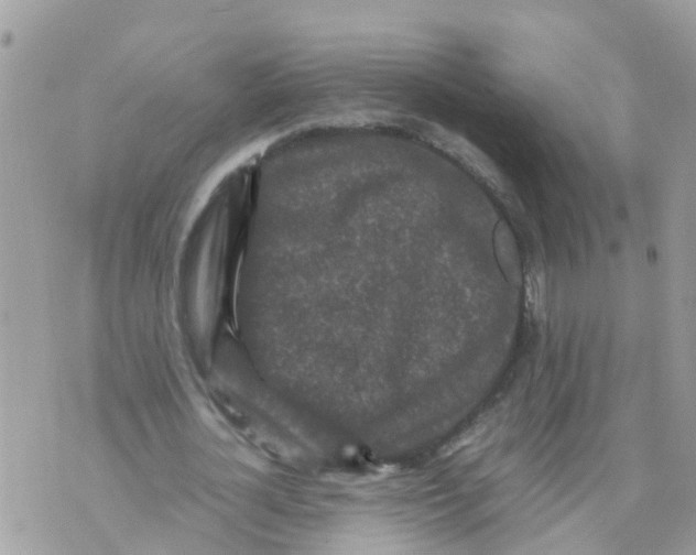 X0000070390724200606301945