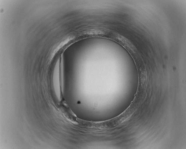 X0000070390727200606301945