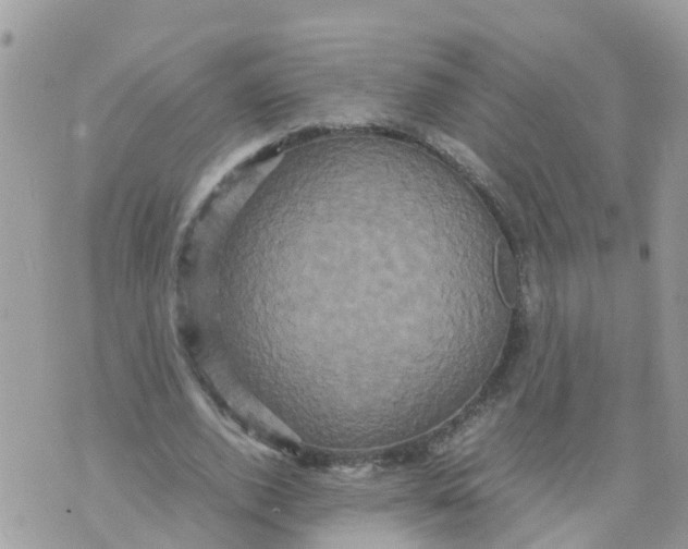 X0000070390728200606301945