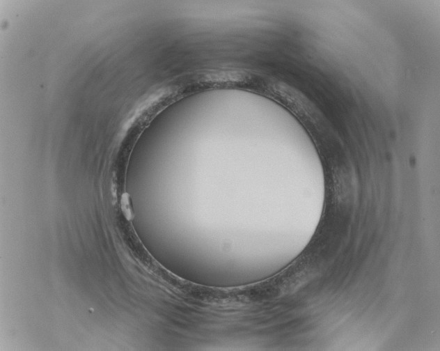 X0000070390731200606301945