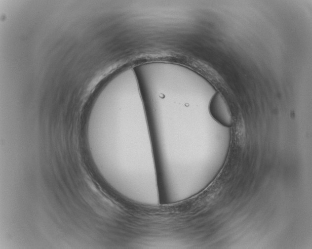 X0000070390732200606301945