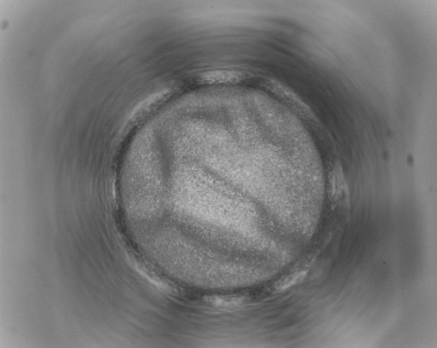 X0000070390733200606301946