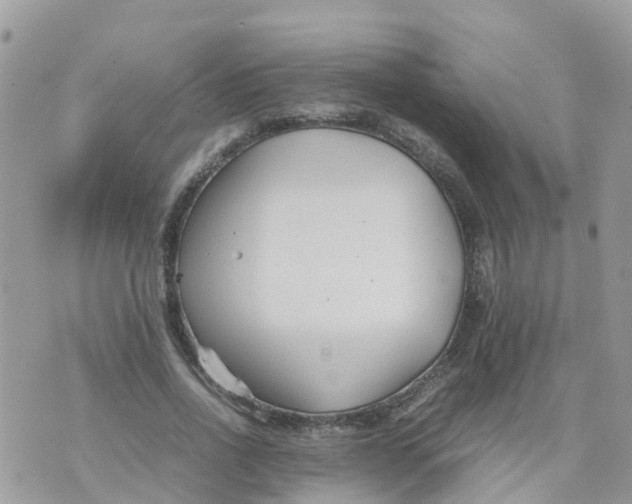 X0000070390734200606301946