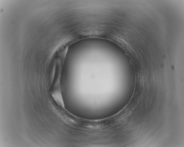 X0000070390735200606301946