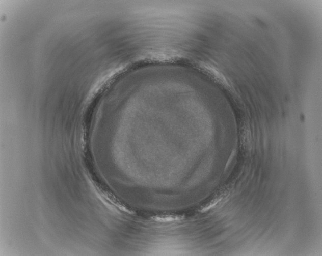 X0000070390736200606301946