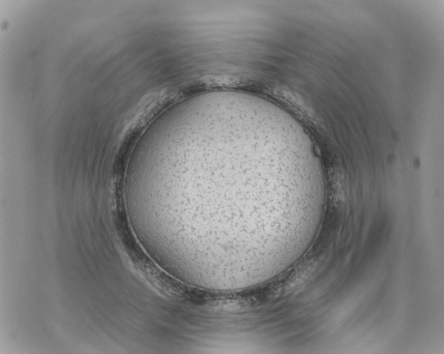 X0000070390738200606301946