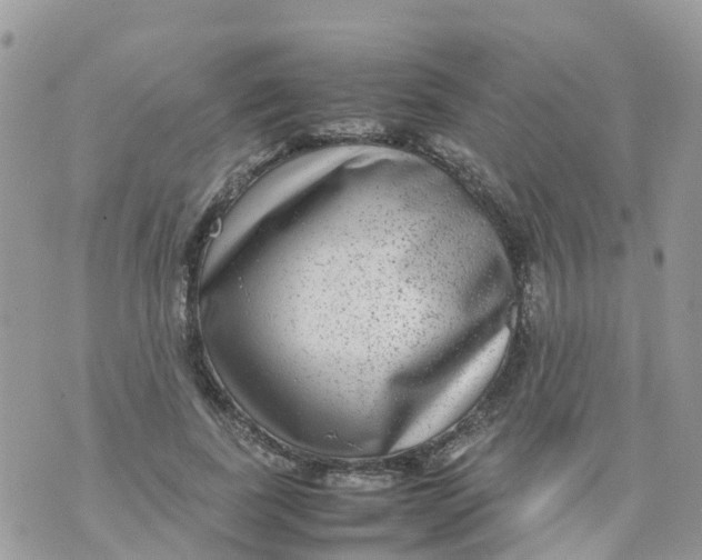 X0000070390739200606301946