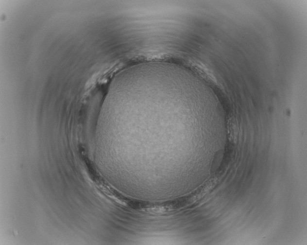 X0000070390740200606301946