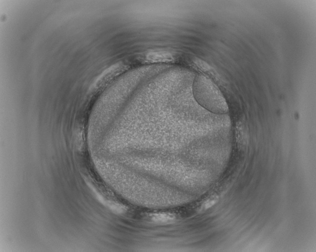 X0000070390741200606301946