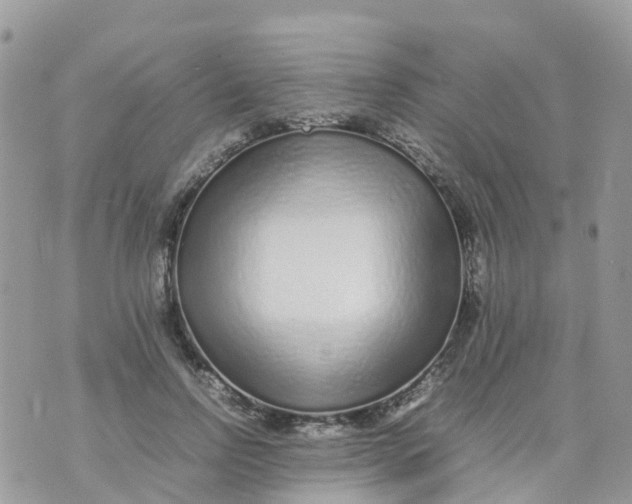 X0000070390742200606301946