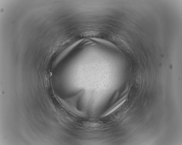 X0000070390743200606301946