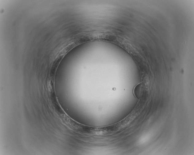 X0000070390746200606301946