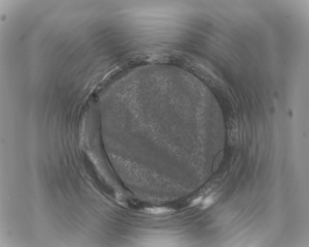 X0000070390748200606301946