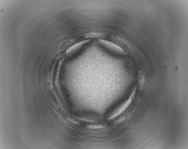 X0000070390749200606301946