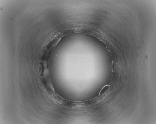 X0000070390750200606301946