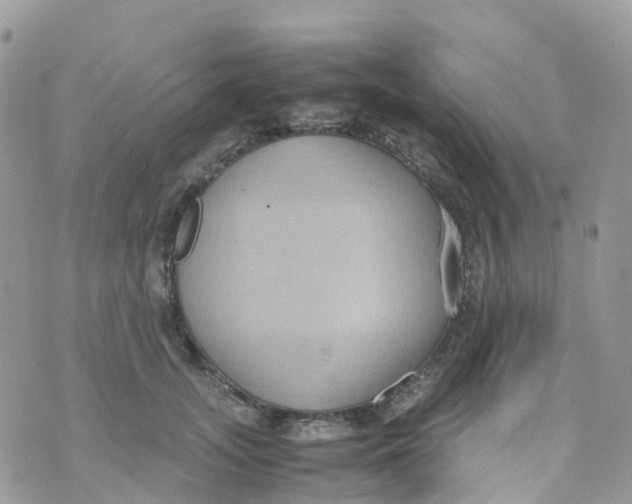 X0000070390755200606301946