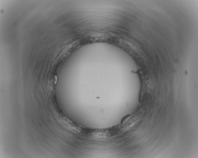 X0000070390756200606301946