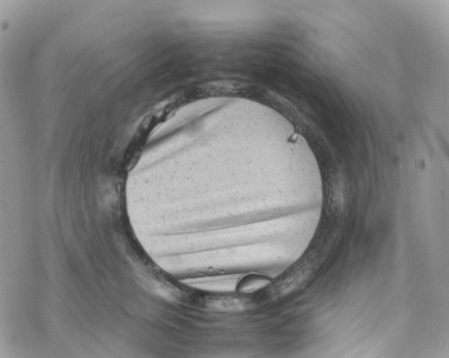 X0000070390759200606301946