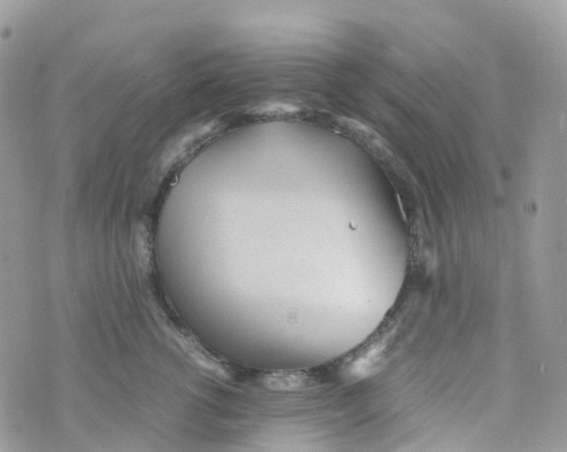 X0000070390762200606301946