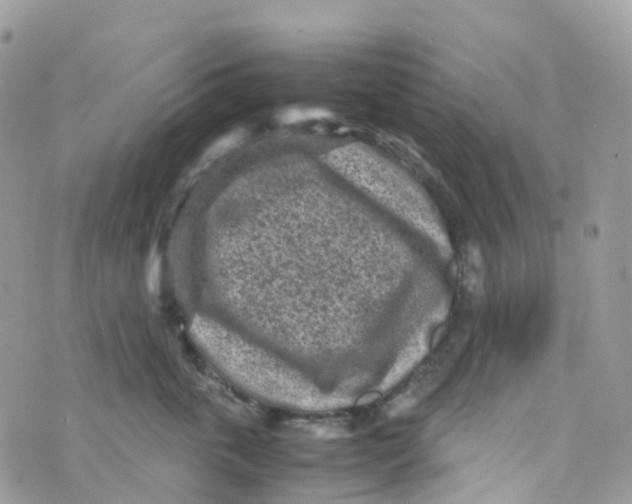 X0000070390763200606301946