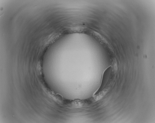 X0000070390764200606301946