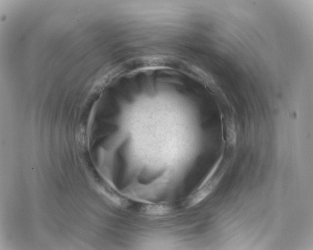 X0000070390766200606301946