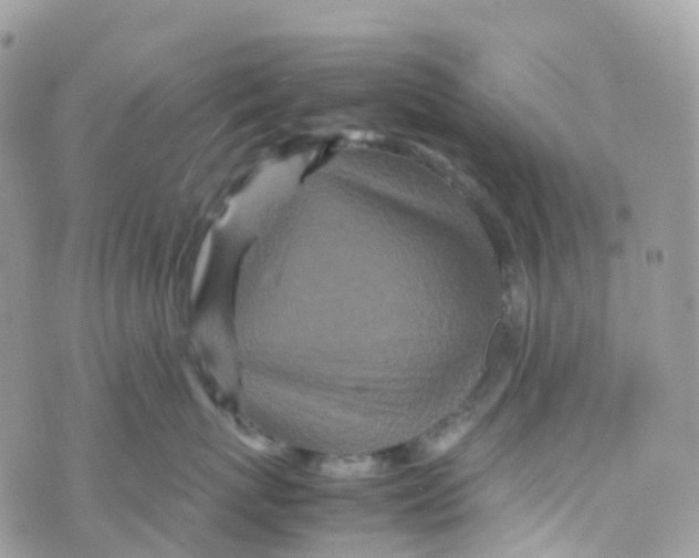 X0000070390767200606301946