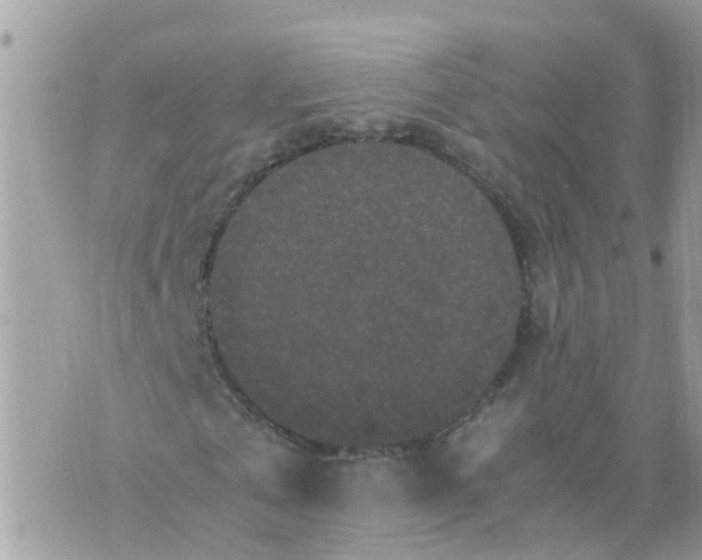 X0000070390769200606301945