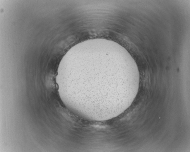 X0000070390770200606301945