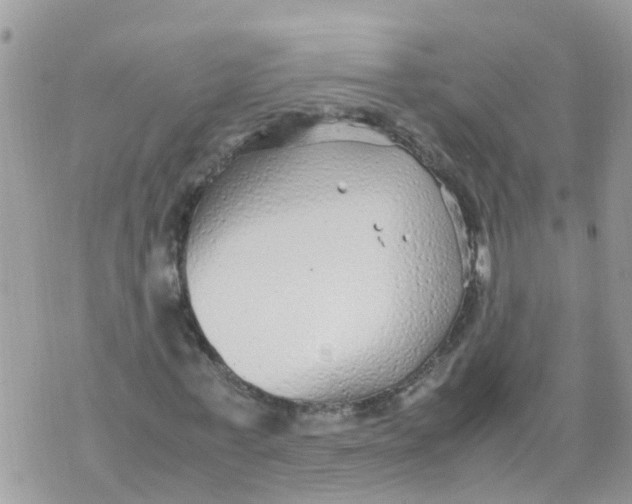 X0000070390771200606301945